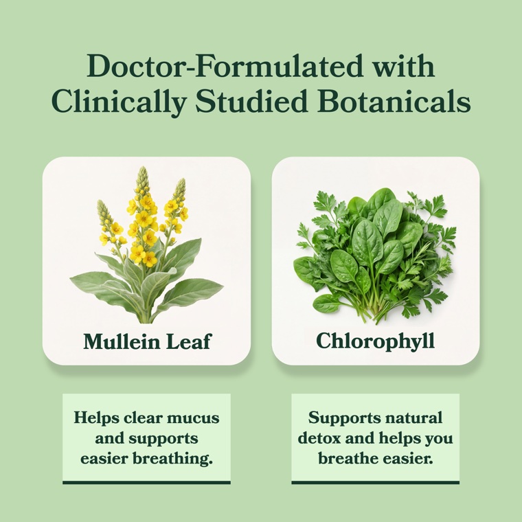 Mullein leaf and chlorophyll ingredients